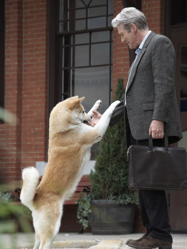 Hachi A Dog S Tale 2008 Lasse Hallstr 246 M Synopsis